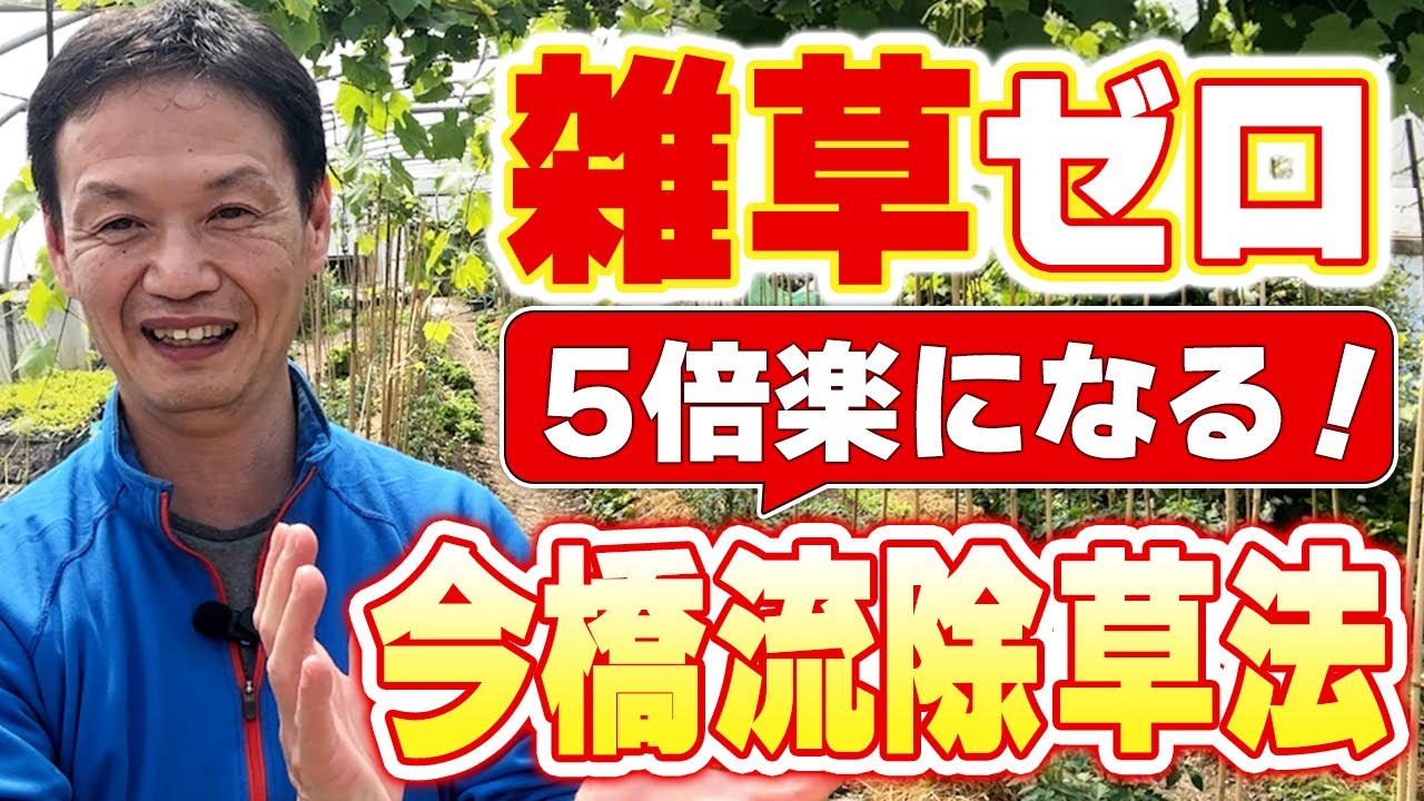 【自然栽培300】地下茎克服！雑草対策！