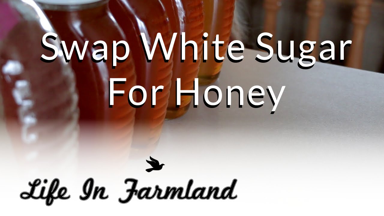 Vlog:   Making Strawberry Jam and swapping white sugar for honey