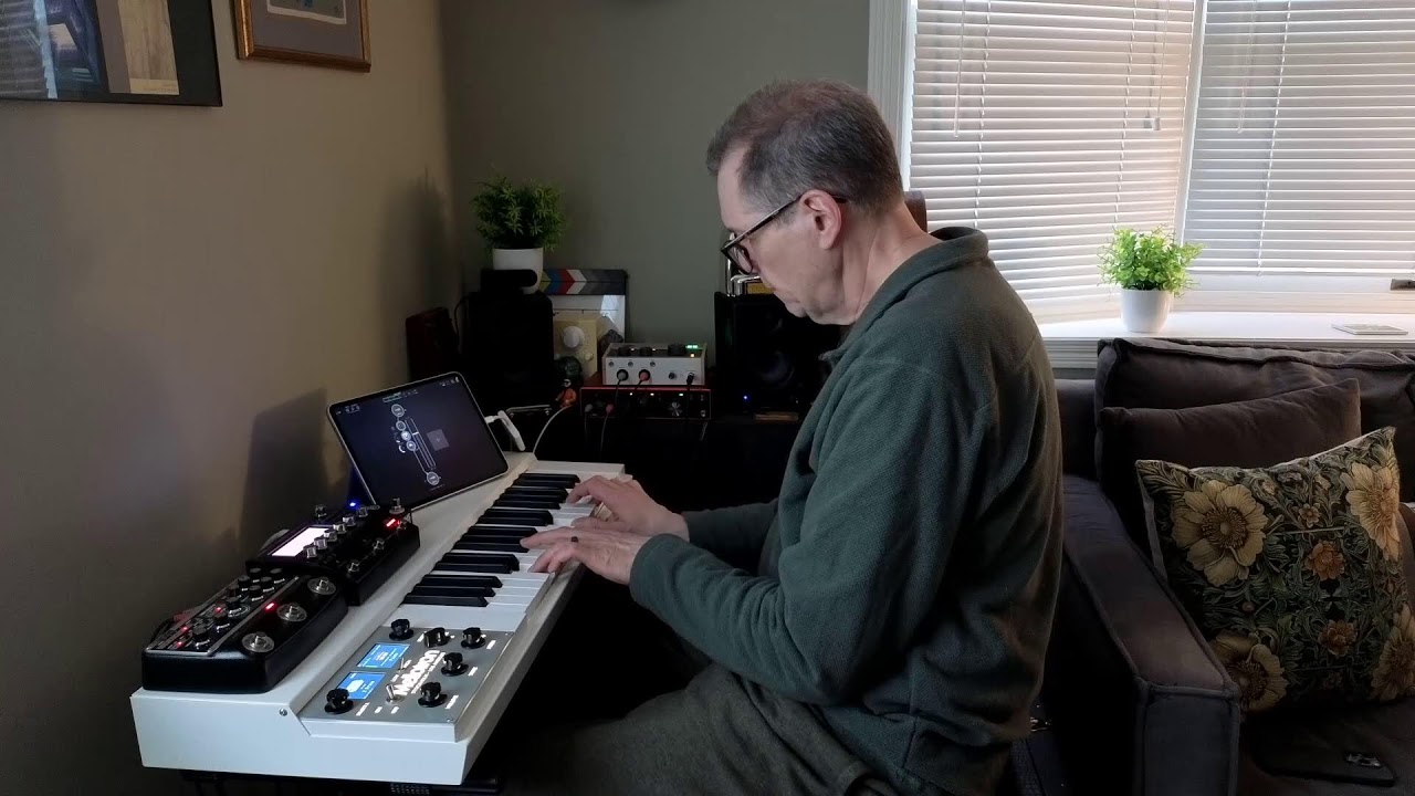 Modern Mellotron Live Stream 1: Boss RE-202 Space Echo Looping in AUM | Mellotronics