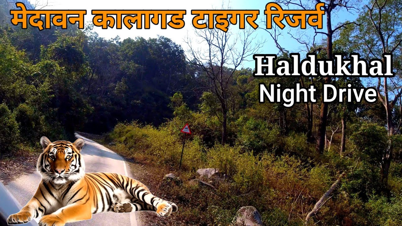 Kalaghard Tiger Reserve ke Buffer Zone जंगली जानवर का आना जाना रहता है