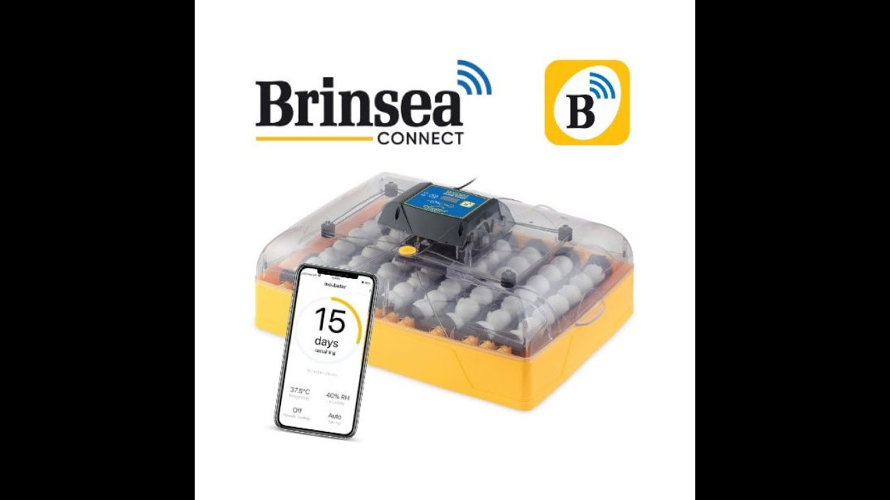 Brinsea Ovation 56 EX CONNECT Incubator (App-Controlled) - Strangford Incubators