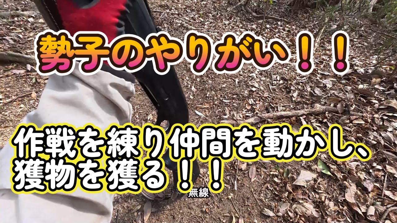 狩猟動画：勢子のやりがい