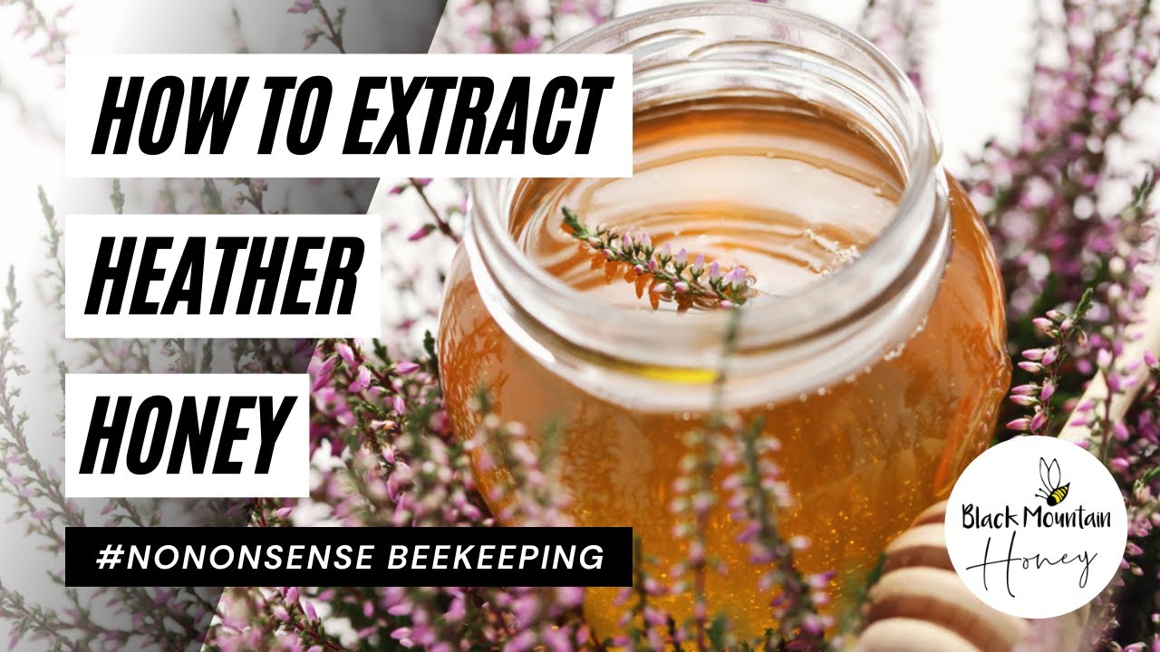 How To Extract Ling Heather Honey - Loosen, Press And Filter Thixotropic Honey