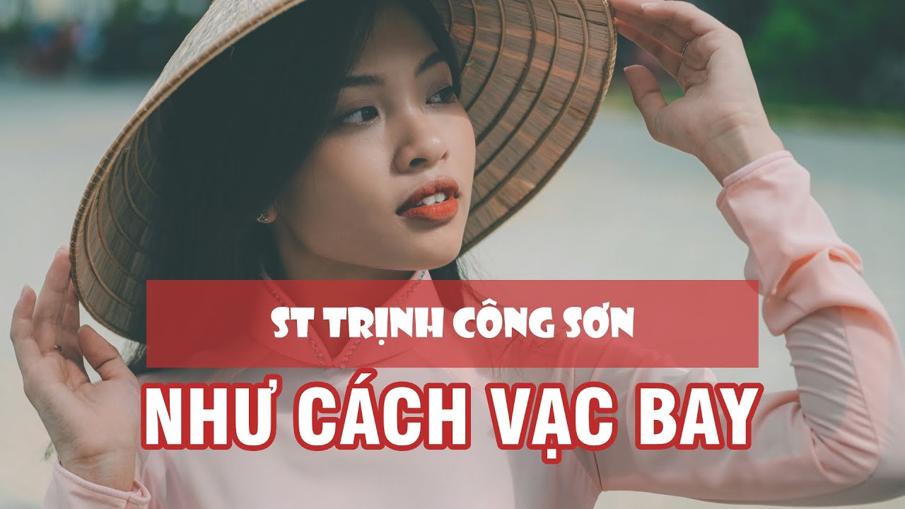 Như cánh vạc bay ST Trịnh Công Sơn | Karaoke