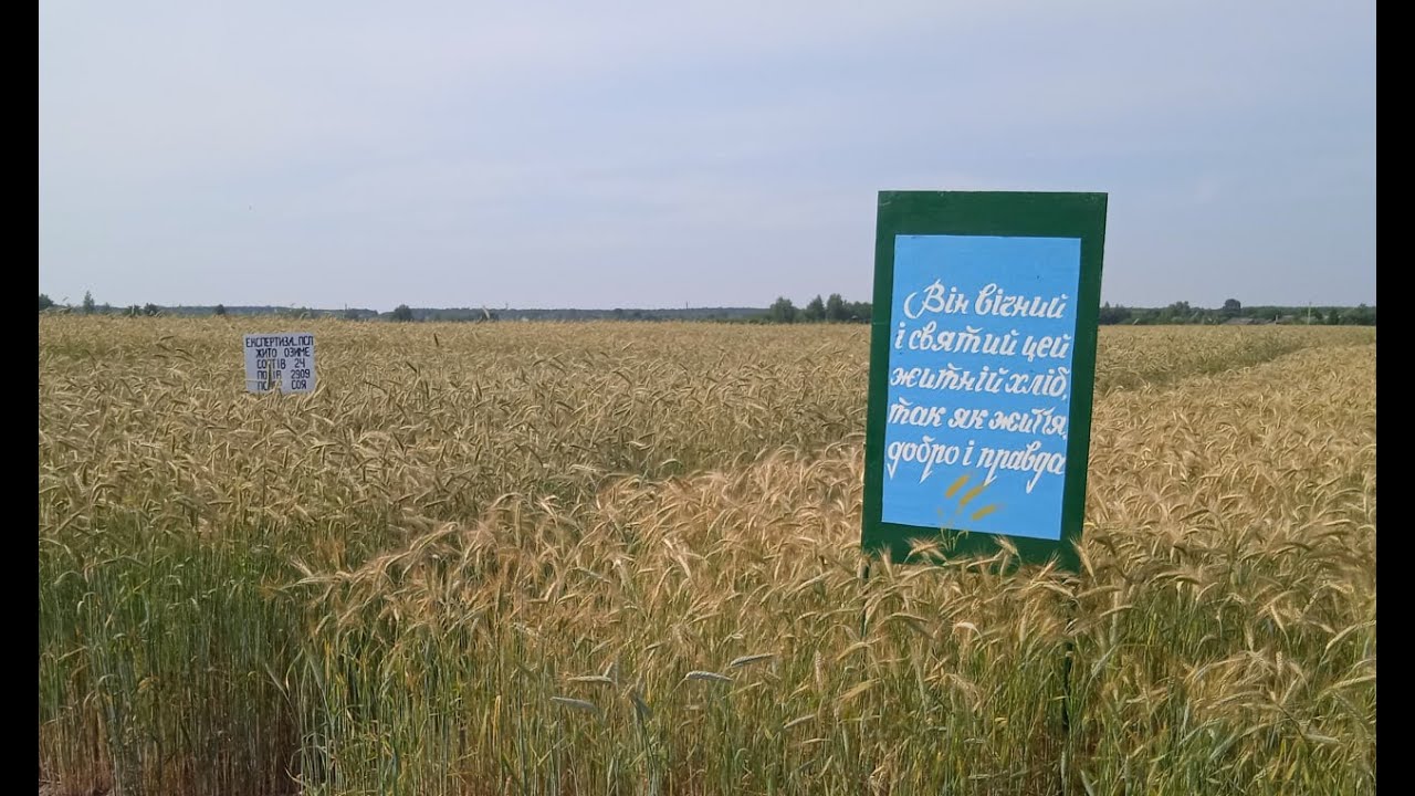 Історія Любешівської сортодослідної станції у світлинах