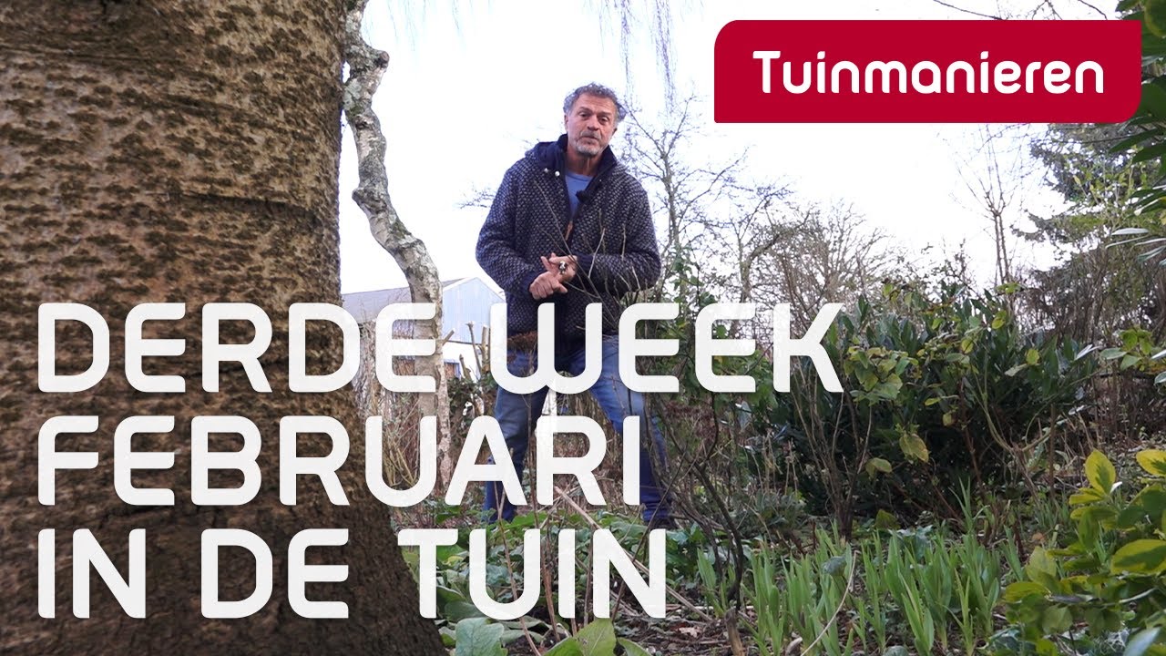 Wat doe je in de derde week van februari in de tuin? | Winter | Tuinmanieren