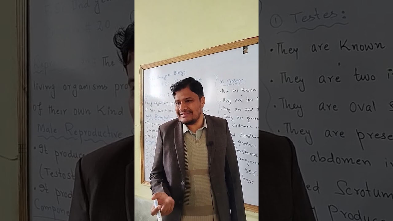 Class 12 biology chapter Reproduction. Male reproductive system #classxiibiology #science #foryou 