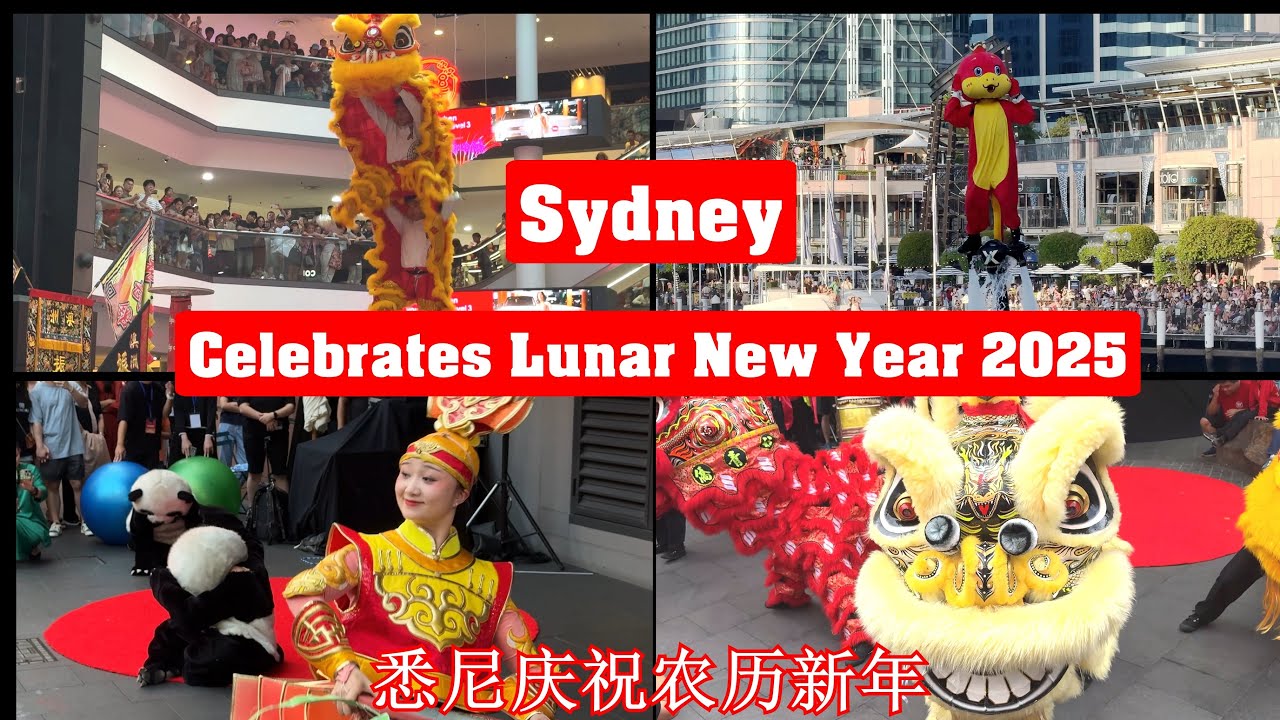 Sydney Lunar New Year 2025 🐍 | Lion Dance, High Pole Stunts & Street Fest!