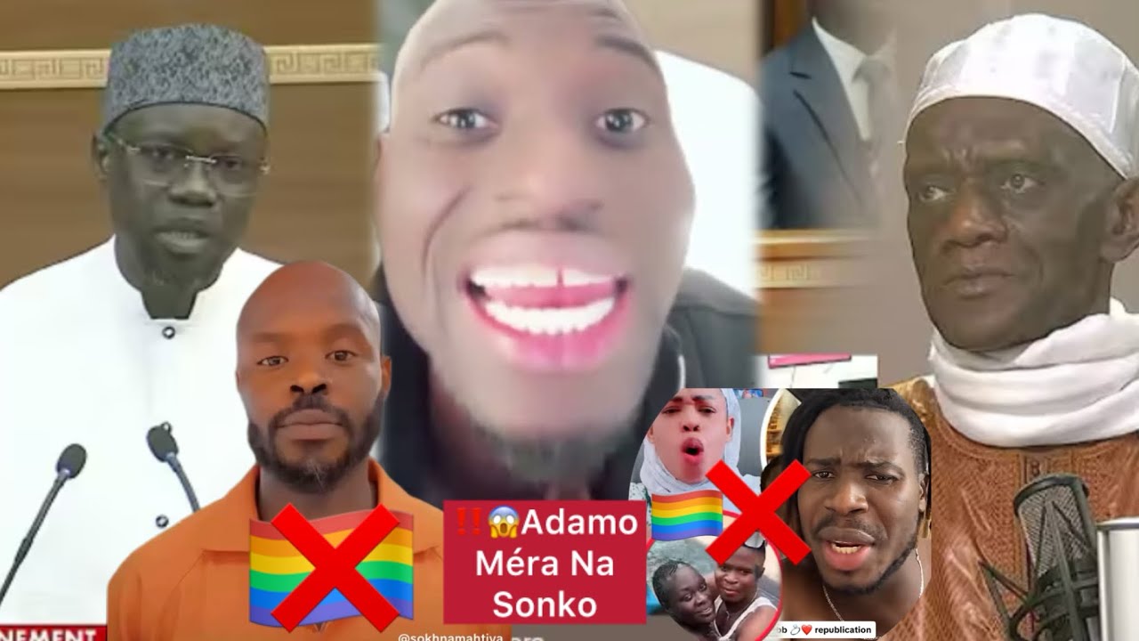 adamo attaquer oussmane sonko sur lafair de pape cheikh diallo ak matar diamra