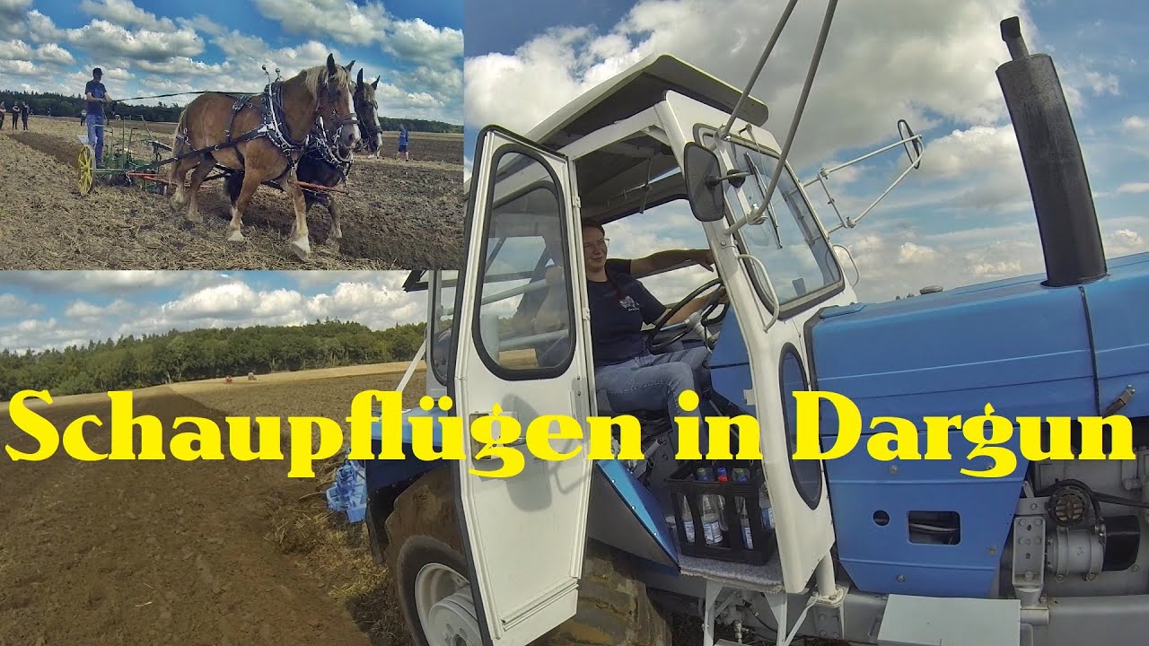 Schaupflügen in Dargun 2025