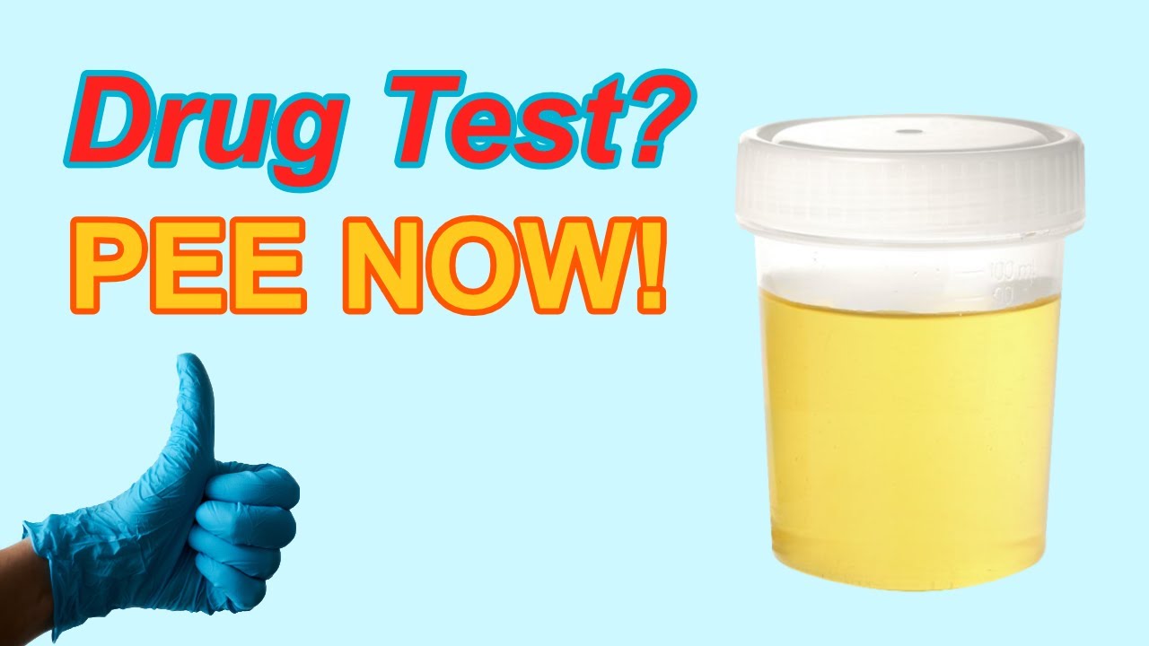 Sound To Pee For Drug Test 💦🙂💦 GUARANTEED!
