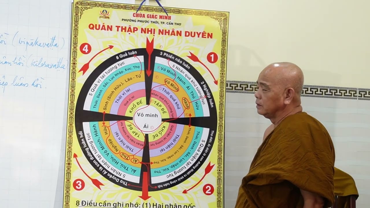 VI DIỆU PHÁP - Bài giảng 41A- Ôn Tập Duyên sinh