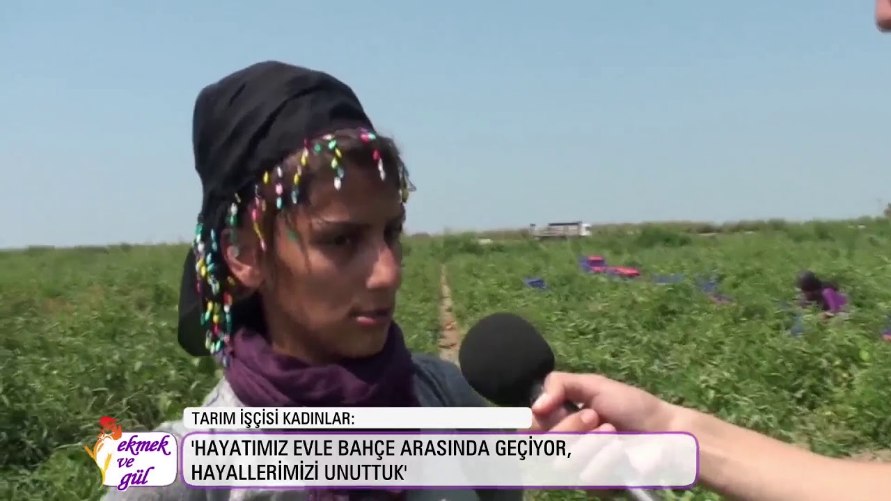 Çukurova'nın bahçelerinde mevsimlik kadın işçi olmak