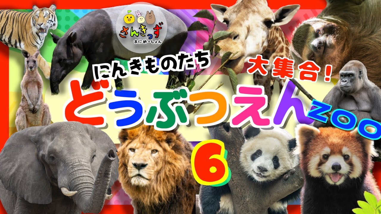 【子供向け 動物アニメ】動物園へ行こう！part6☆19種類の動物大集合！ライオン ぞうさん キリン  トラ ヒョウ｜肉食動物 草食動物 動物図鑑 どうぶつ｜animal zoo【動物 知育動画】