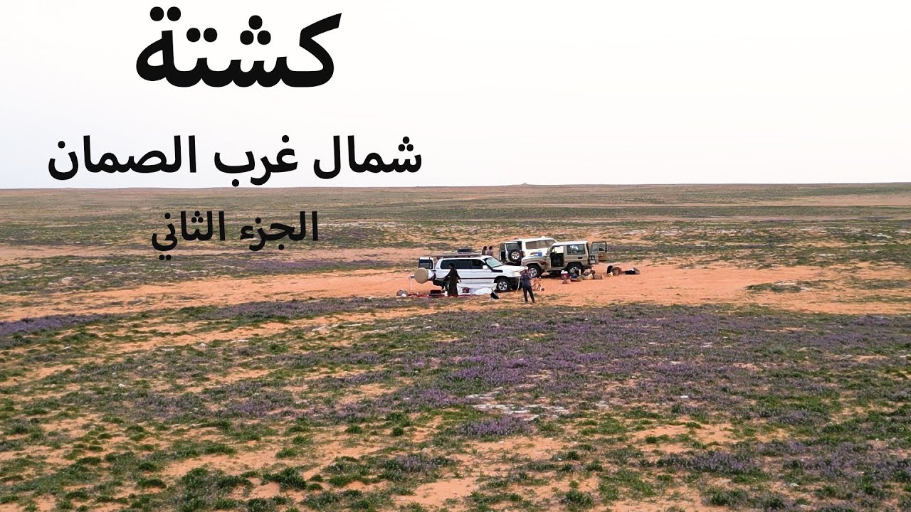 كشتة شمال غرب الصمان-الجزء الثاني | ربيع وفياض الصمان | نبات الخزامى | رمال الدهناء