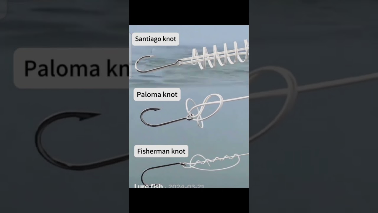 3 fa&ccedil;on de faire un noeud d'hame&ccedil;on #fishing #fgknot #knot #knotskill
