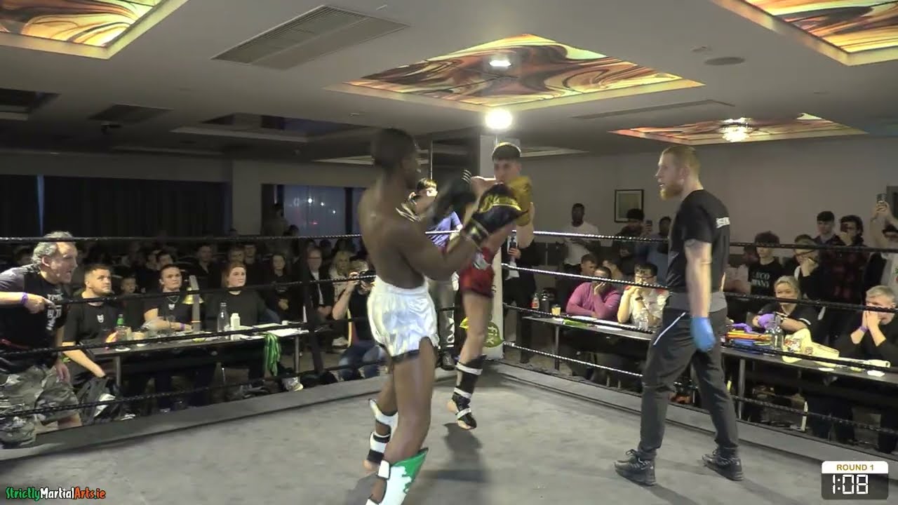 David Chiveniu vs Peter Okegbenro - Eire Fight Night