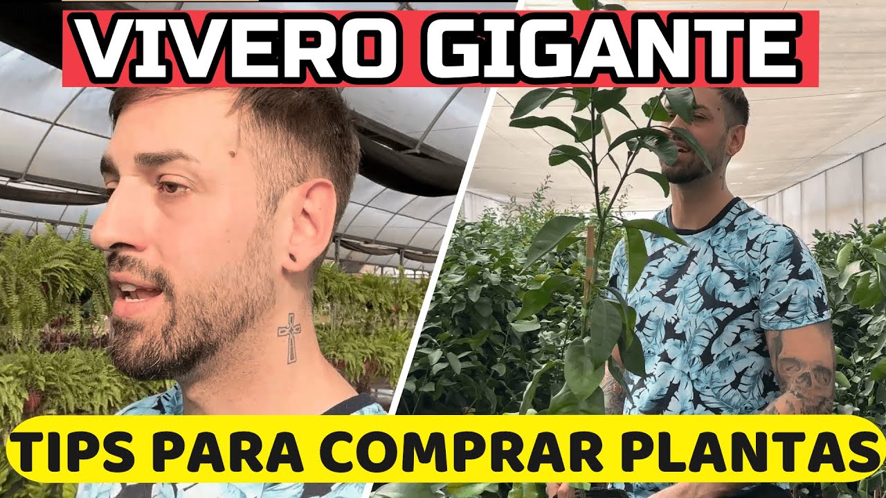 Voy Al Vivero Más GRANDE De Mi Ciudad! PLANTAS De Interior INCREÍBLES! 🇦🇷 AR - Córdoba