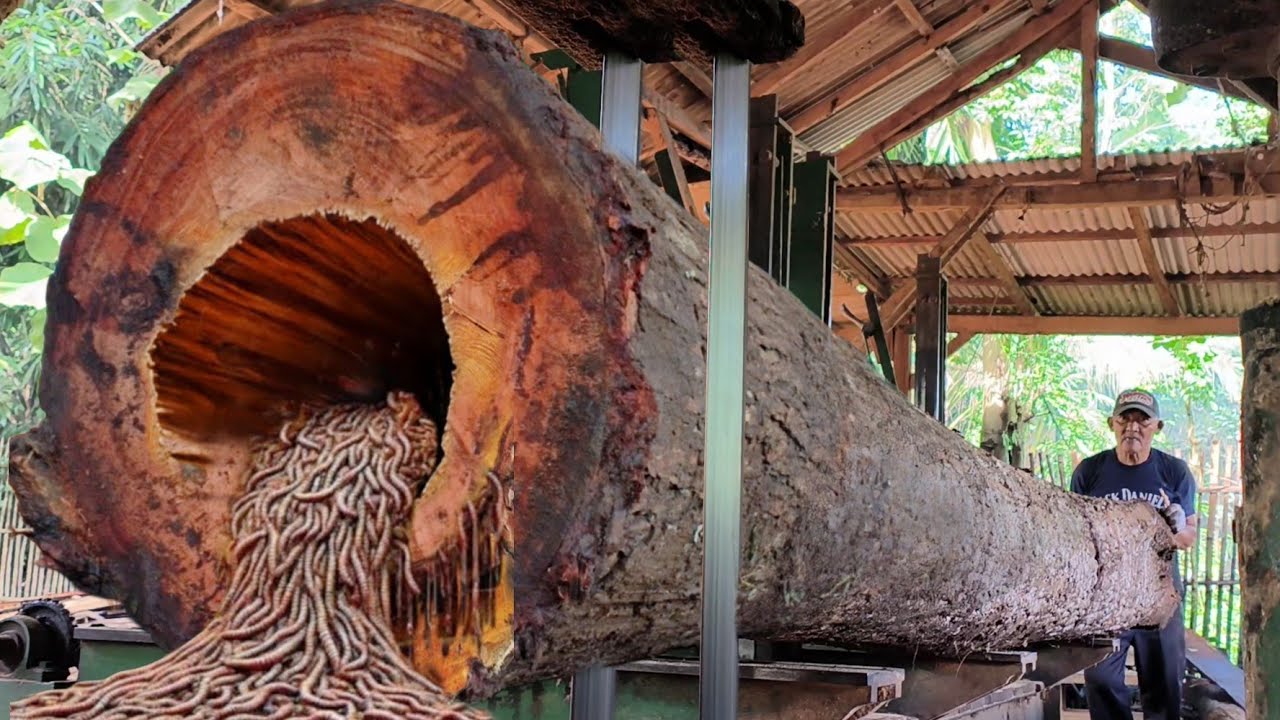 Massive sawmill || A brutal attack behind a giant tree full of horror || Lumber mill