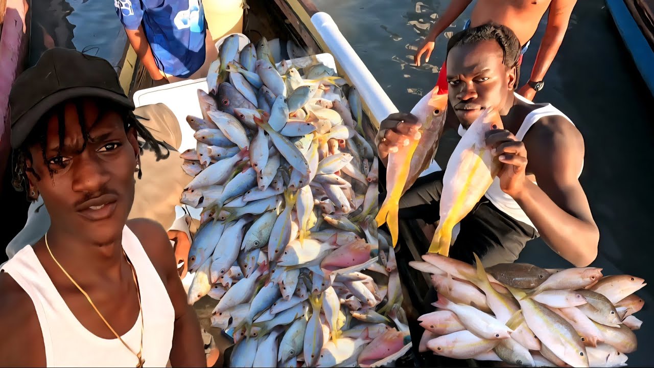 TOOK ANTHONY YELLOWTAIL SNAPPERS FISHING 20MILES OFFCOAST JAMAICA 🇯🇲 (GREAT CATCH)💯