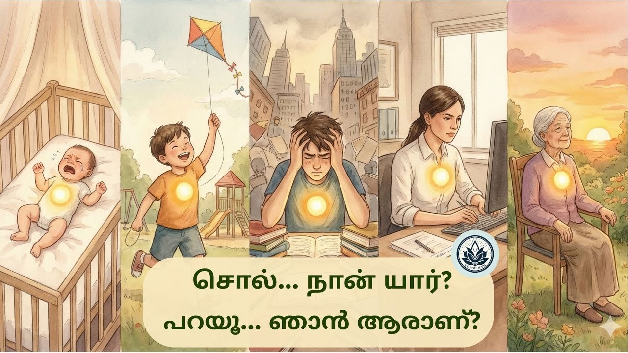 Tell me, Who am I? — A Divine Call from Lord Krishna   #krishnaconsciousness