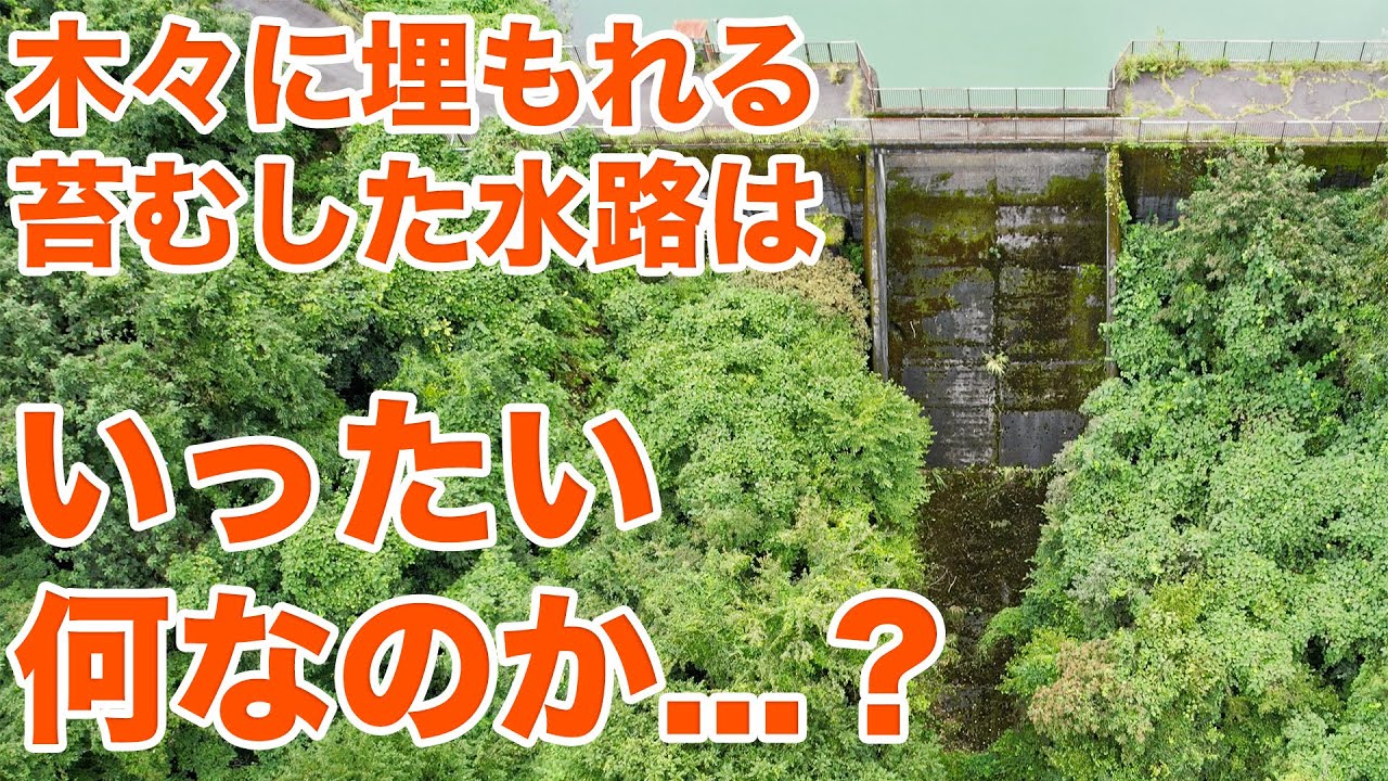 日本初の大規模純揚水発電所の上池をドローン空撮！神奈川県の本沢ダム！！【SiphonTV263】