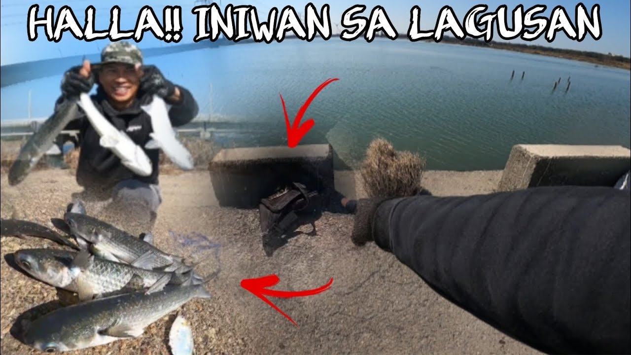 Tinamaan Malalaking isda mlapit sa LAGUSAN lumusot Lhat sa bulsa ng lambat @BHONTV-31 #fish #fishing