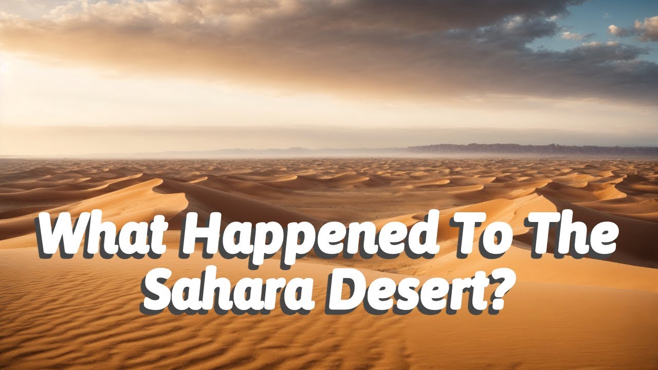 What Happened To The Sahara Desert?