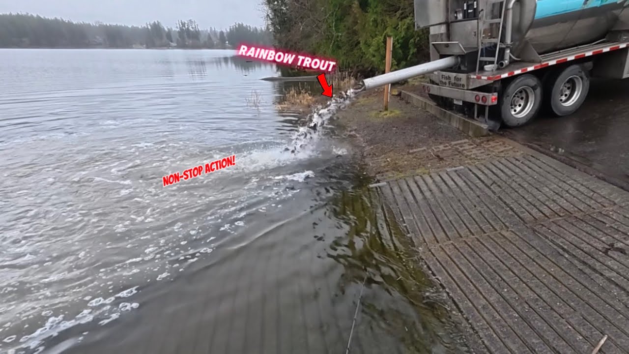 They Dumped THOUSANDS of Trout While I Was Fishing… (Fish Every Cast)