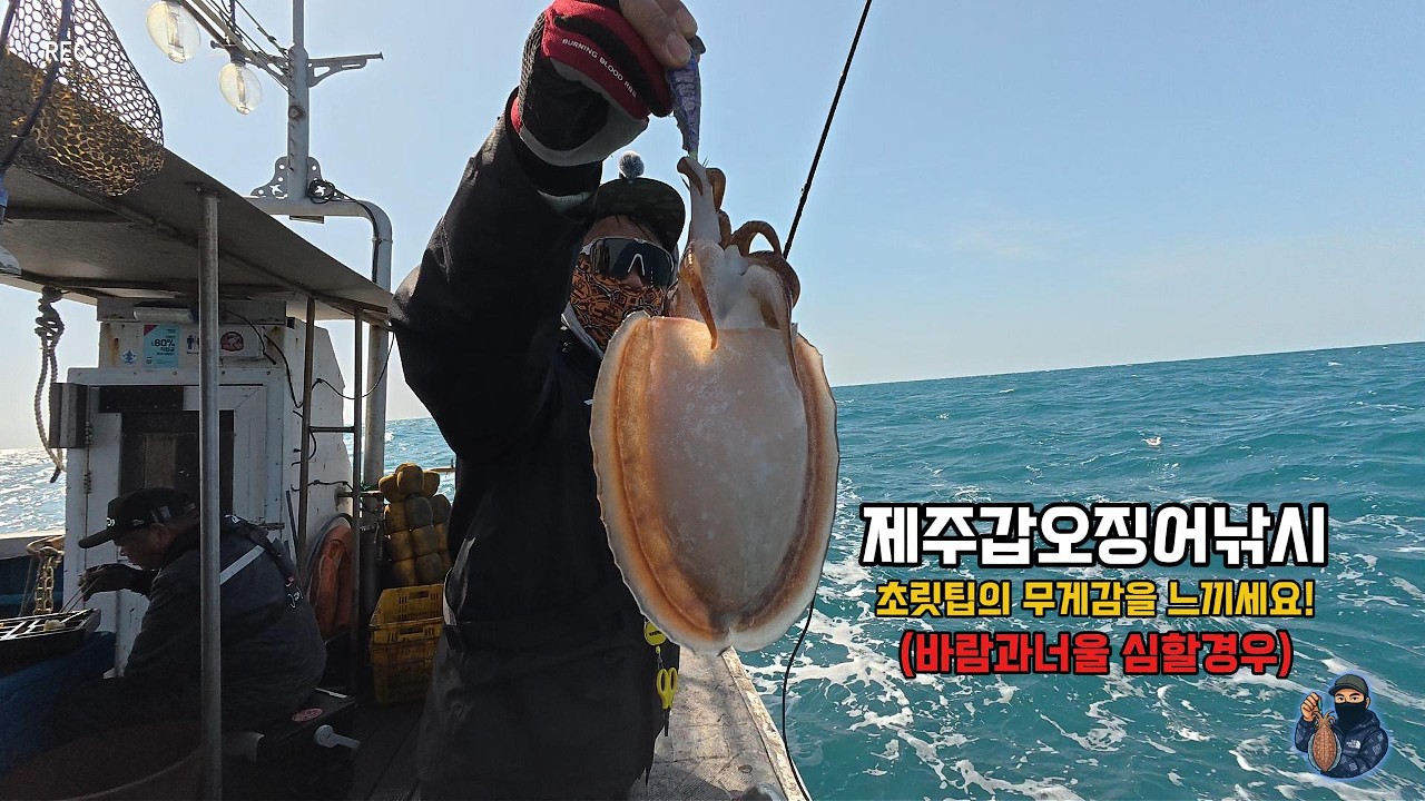 제주갑오징어낚시 풍랑주의보 해제후 바람과너울이 심해도 럭비공갑오징어를 잡다! #루피세피아로드 #극강루피세피아로드 #제주현무호