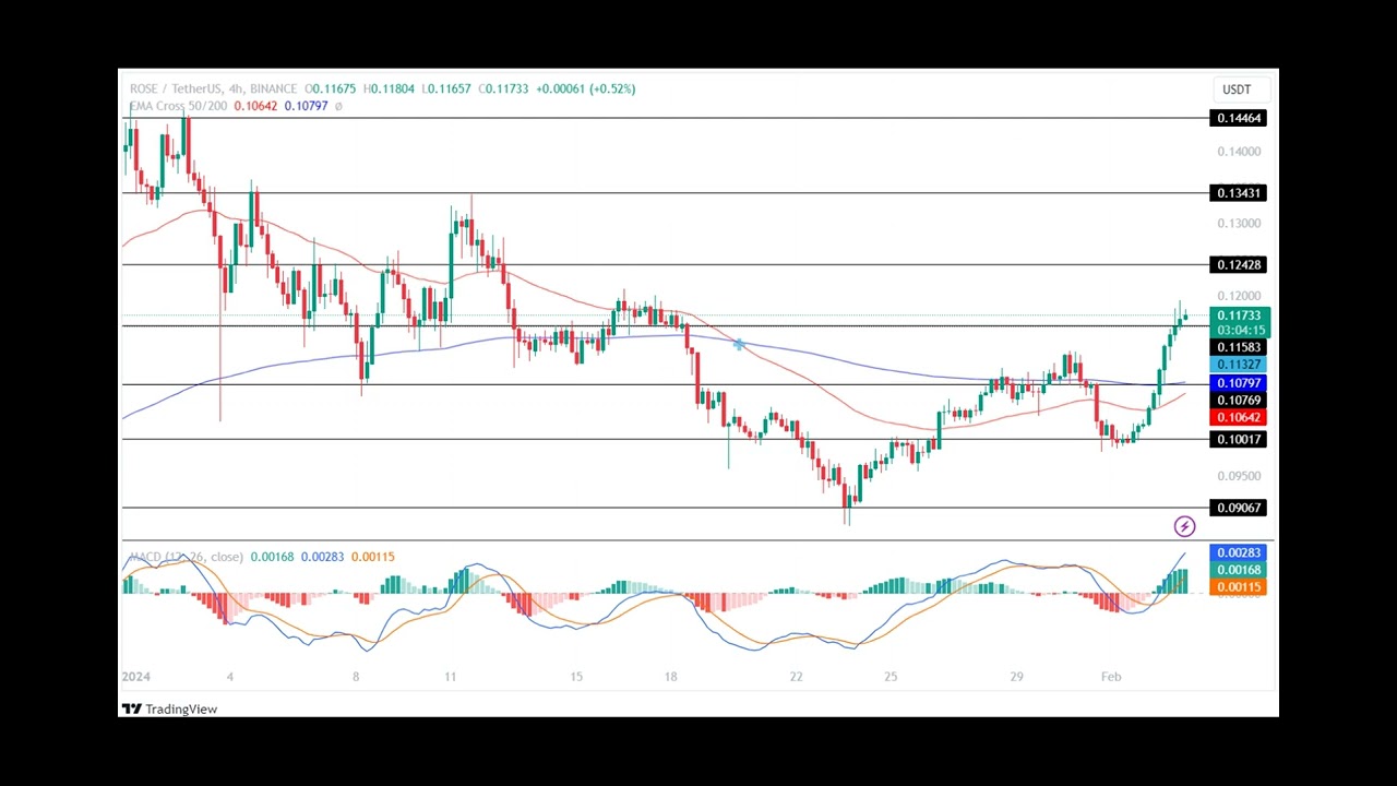 Oasis Network Price Prediction 2024, 2025, 2030: Will ROSE Price Go Up?