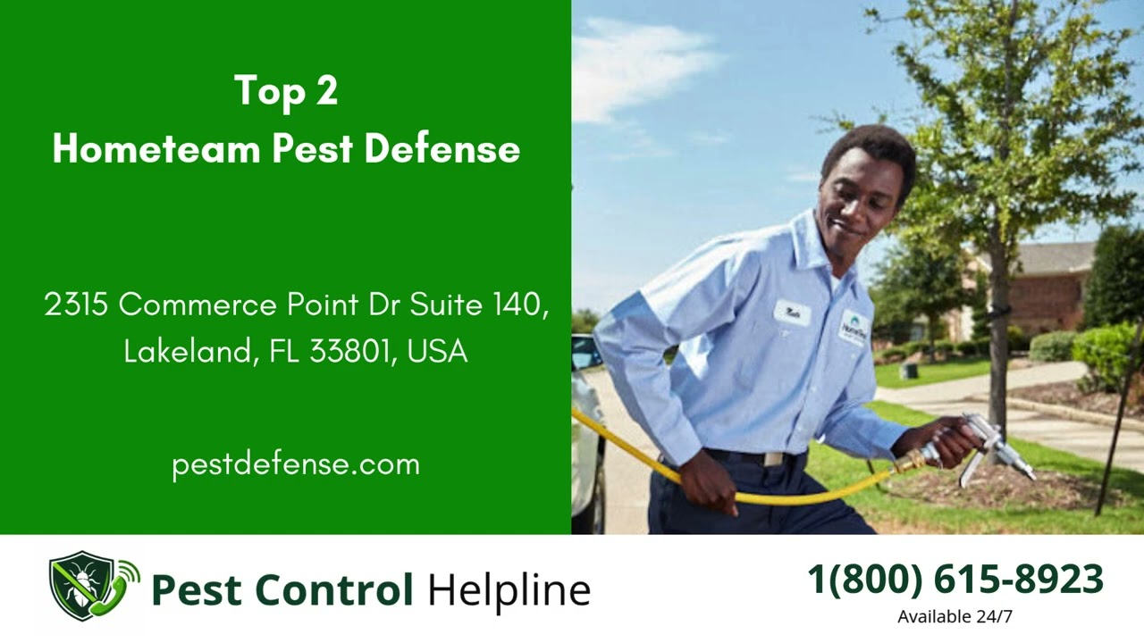Top 3 Pest Control in Highland City