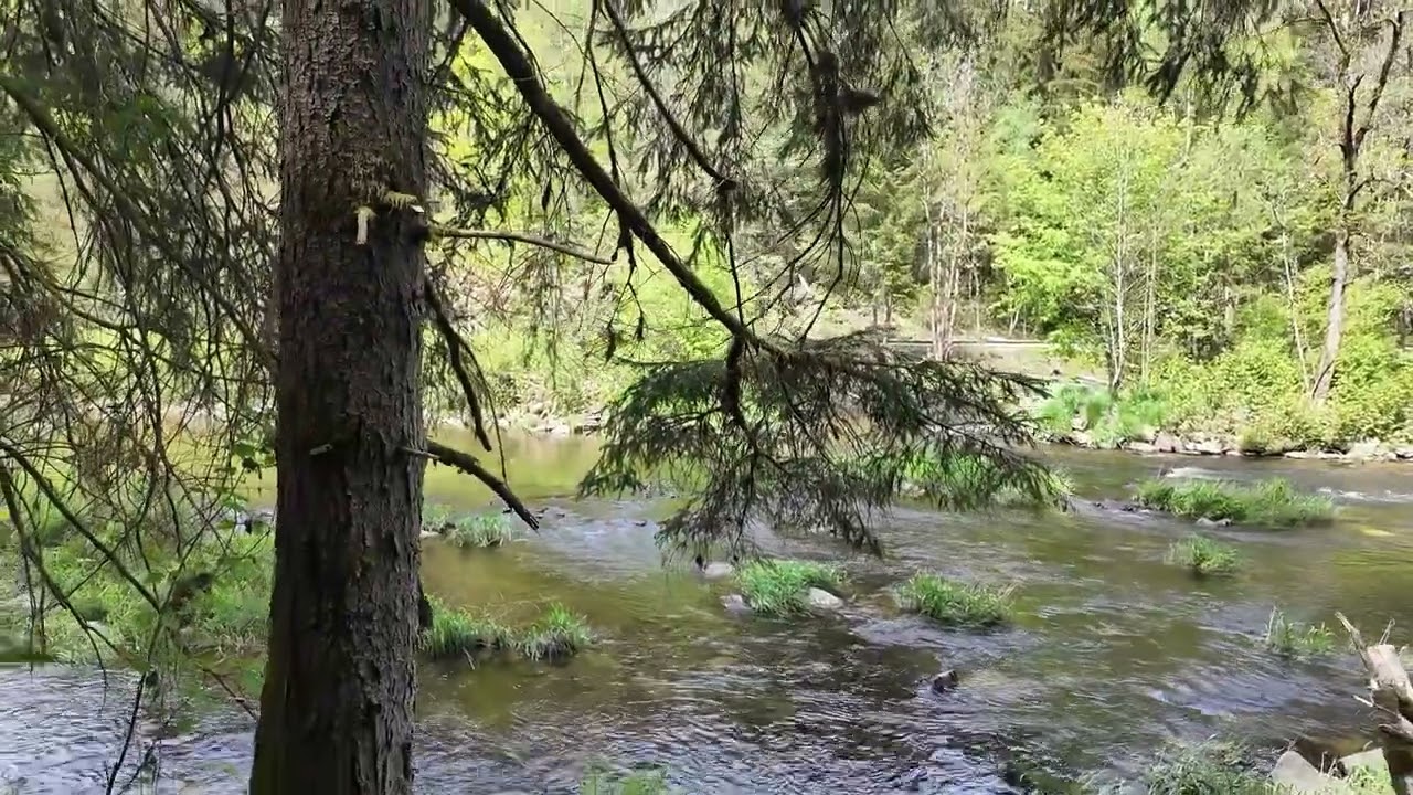 Unsere kleine Wanderung von Teisnach nach Gumpenreid auf dem Flusswanderweg incl fahrt mit Waldbahn