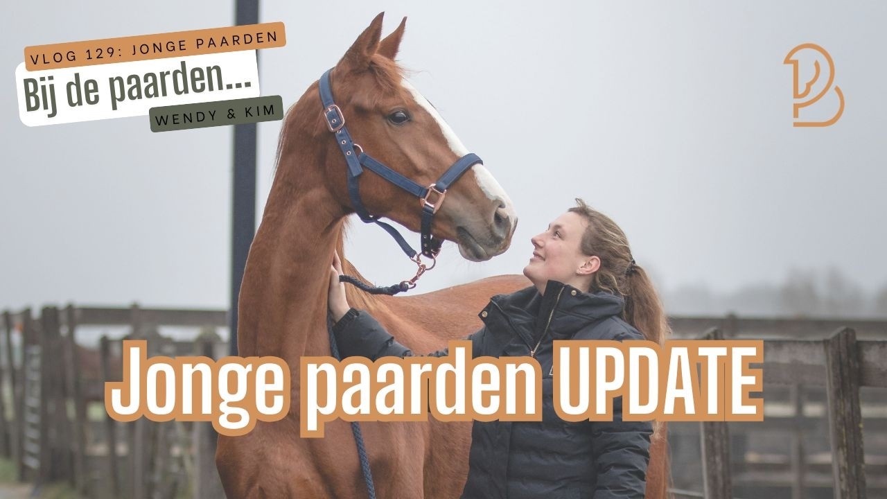 We hebben een HELE DURE FOTOSHOOT gedaan met de jonge paarden! Die zijn inmiddels aan het werk.