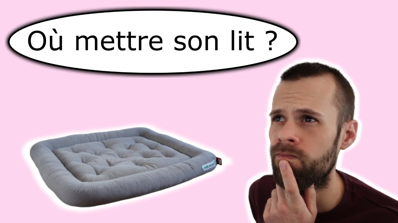 Comment choisir la place du lit de son chien (30/30)
