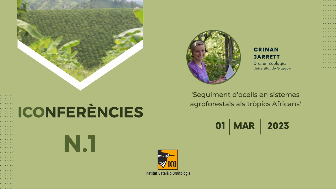ICOnferencies - 1 - 'Seguiment d'ocells en sistemes agroforestals als tròpics Africans'