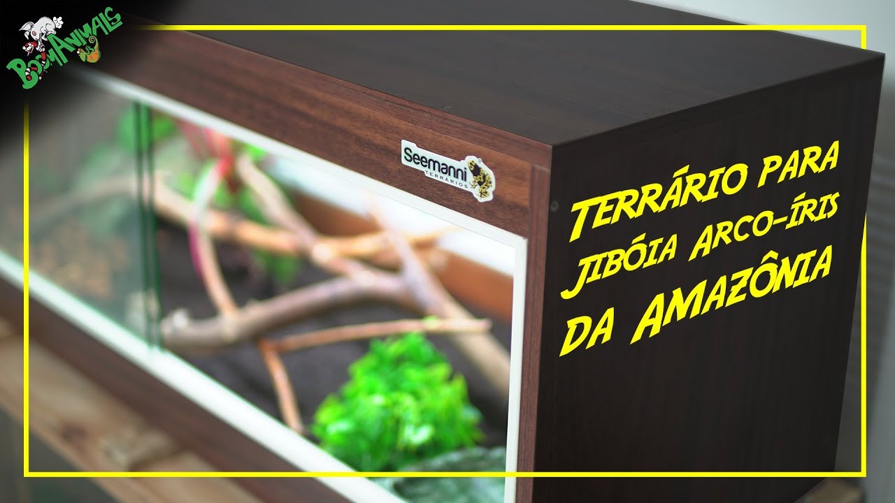 Terrário para Jiboia Arco-Íris da Amazônia