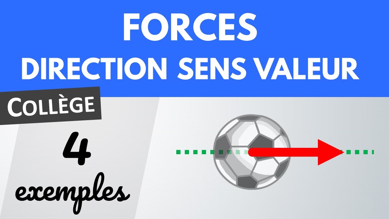FORCE : direction, sens, valeur : quelles différences ? | Collège | Physique-Chimie