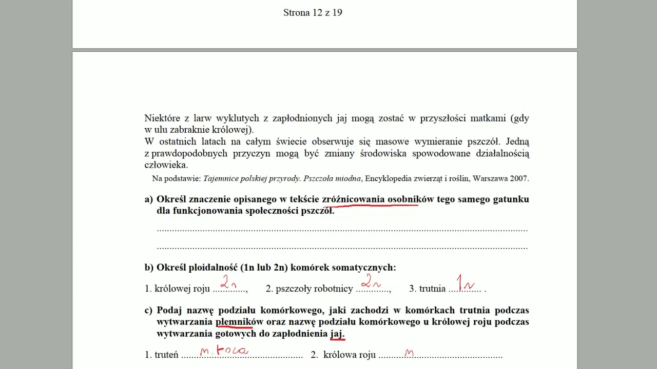 ZOOLOGIA BEZKRĘGOWC&Oacute;W - Owady społeczne - ZADANIA MATURALNE Z BIOLOGII 🌱