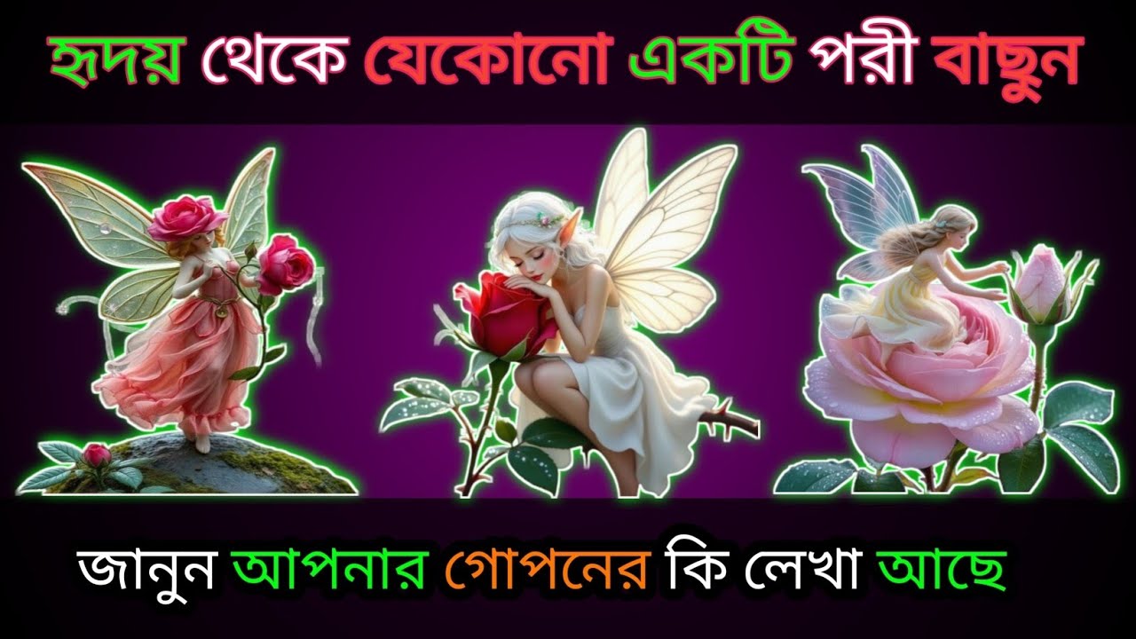   ১টি পরী বাছুন জানুন আপনার গোপনের কি লেখা আছে?। bhago pariksha । apni kemon manush। ভাগ্যের পথ 