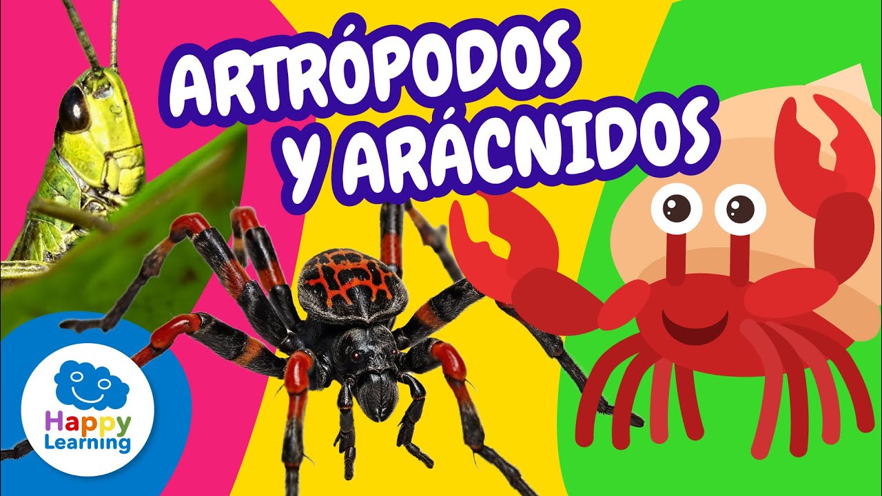 🐜 Descubre el Fascinante Mundo de los Artrópodos| Vídeos Educativos para Niños | Happy Learning