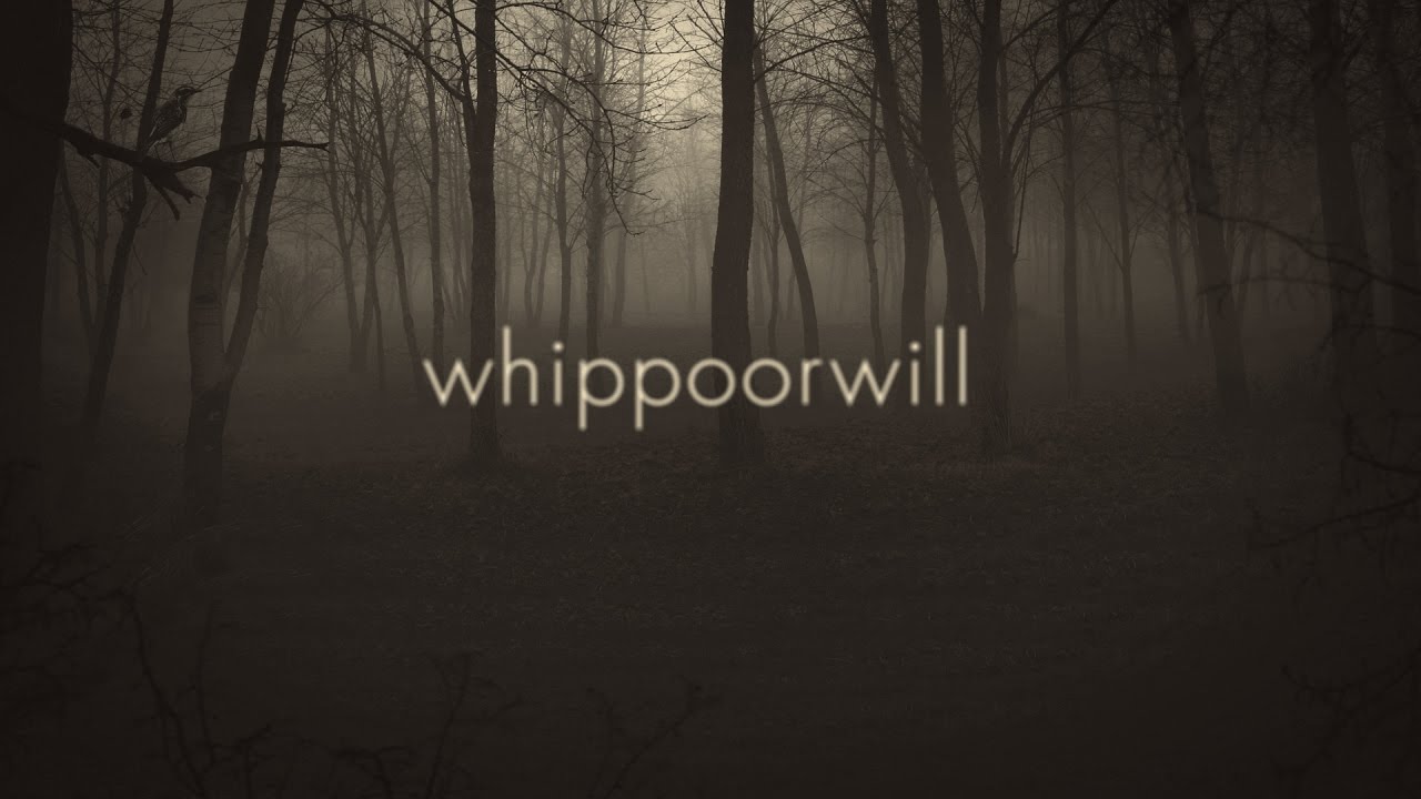 Clock Opera | Whippoorwill