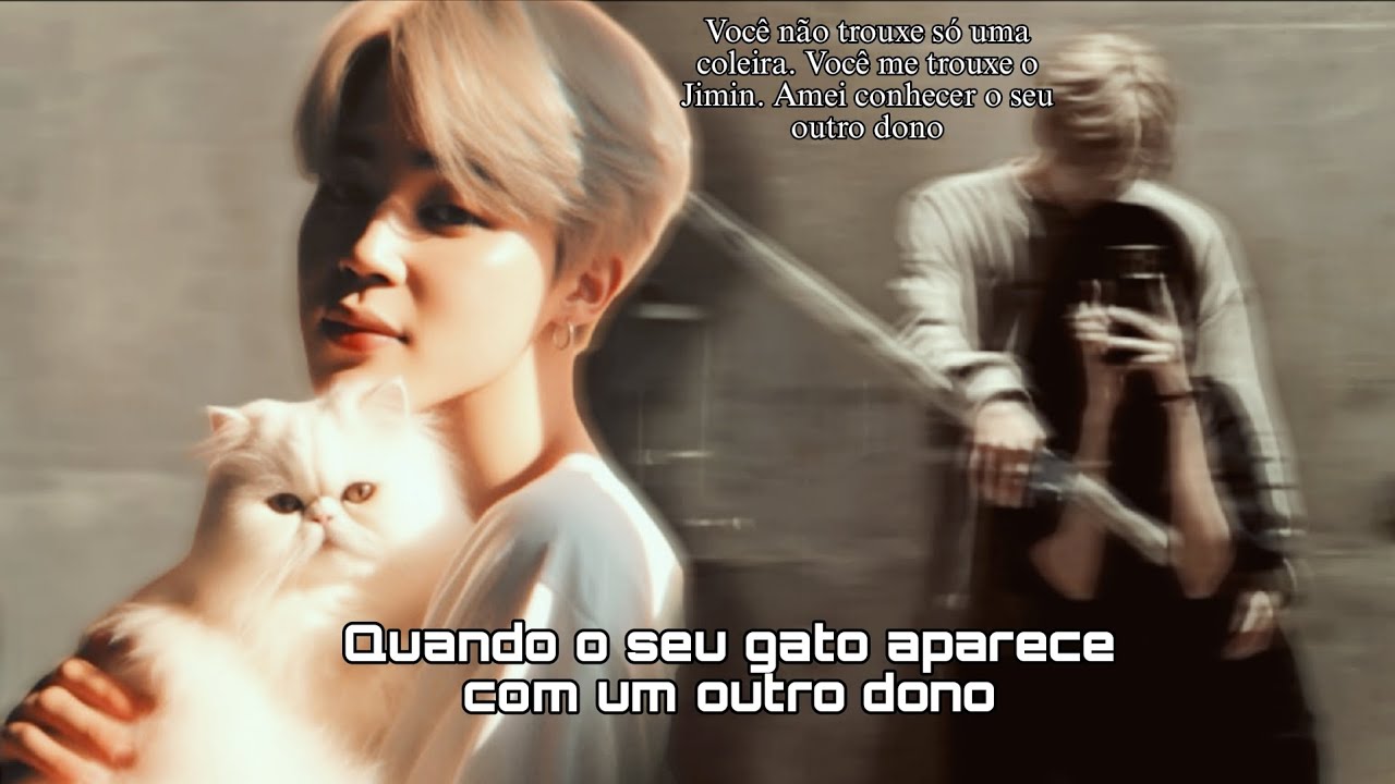 Imagine Jimin - Quando o seu gato aparece com um outro dono《Cap 1/?》