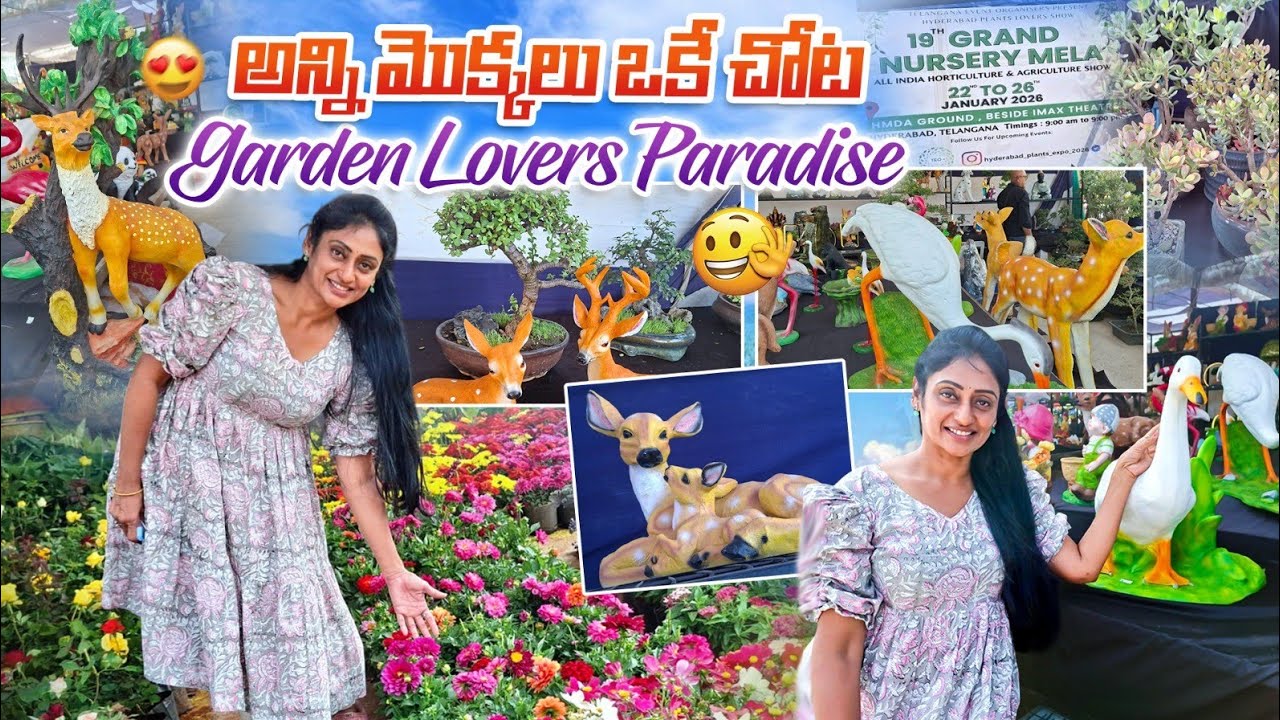 HMDA Gardens Nursery Mela Today | Garden Lovers Must Visit 👍#kalyaninewspresenter #viral #trending