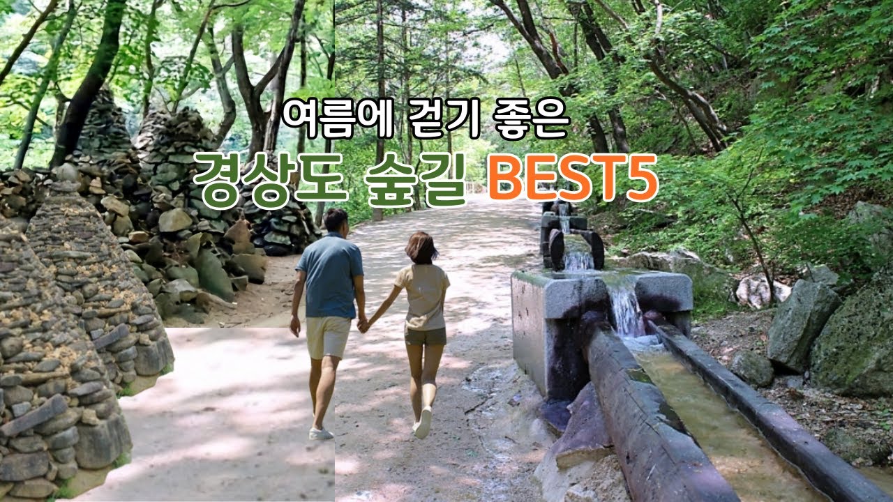 그늘이 많아 여름에 걷기 좋은길/경상도 명품 숲길 BEST 5