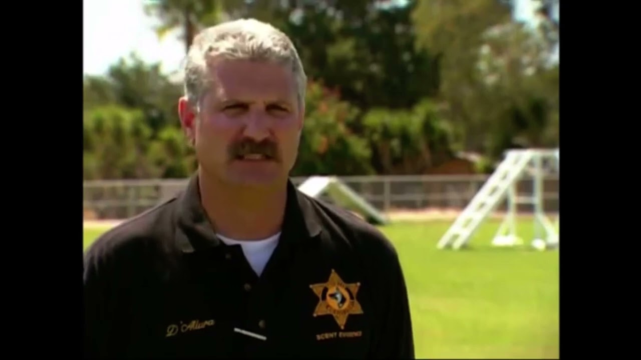Dogs with jobs: cooper