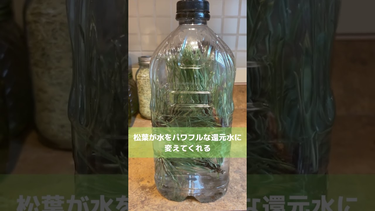 松葉還元水で病気回復・若返り