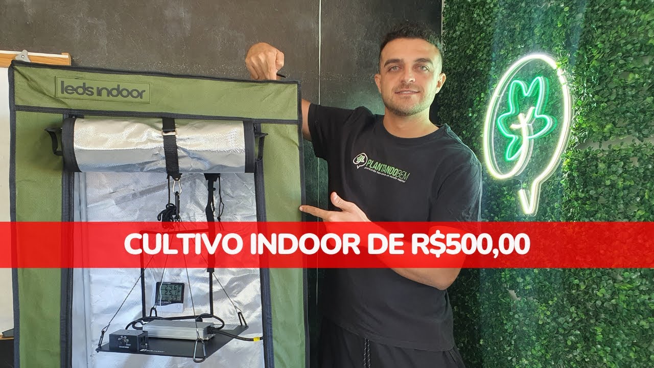 Cultivo indoor gastando R$500