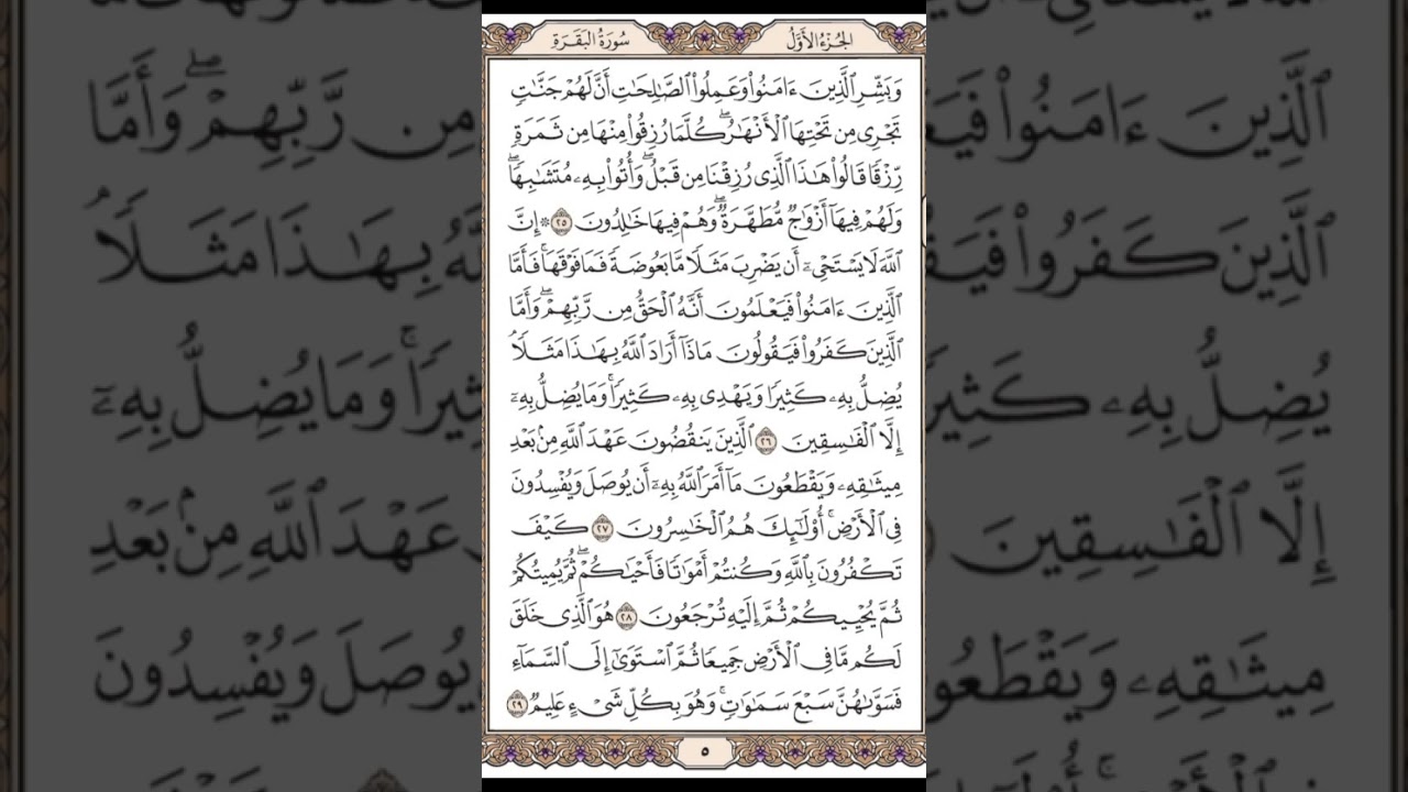 صفحة 5 سورة البقرة مشاري العفاسي مكررة 10 مرات #حفظ_القرآن_الكريم #5