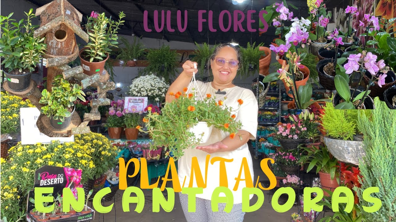 TOUR POR UMA FLORICULTURA MARAVILHOSA + UM PEQUENO BATE-PAPO COM A DONA 🌸💐😍